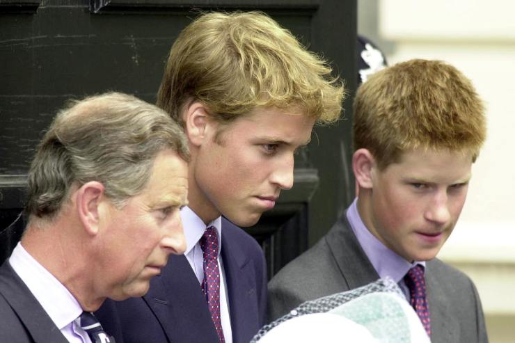 paura lady diana harry e william